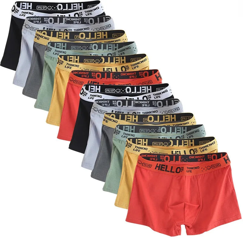 6 pièces hommes sous-vêtements hommes coton caleçons hommes purs hommes culottes Shorts respirant Boxer Shorts confortable doux grande taille