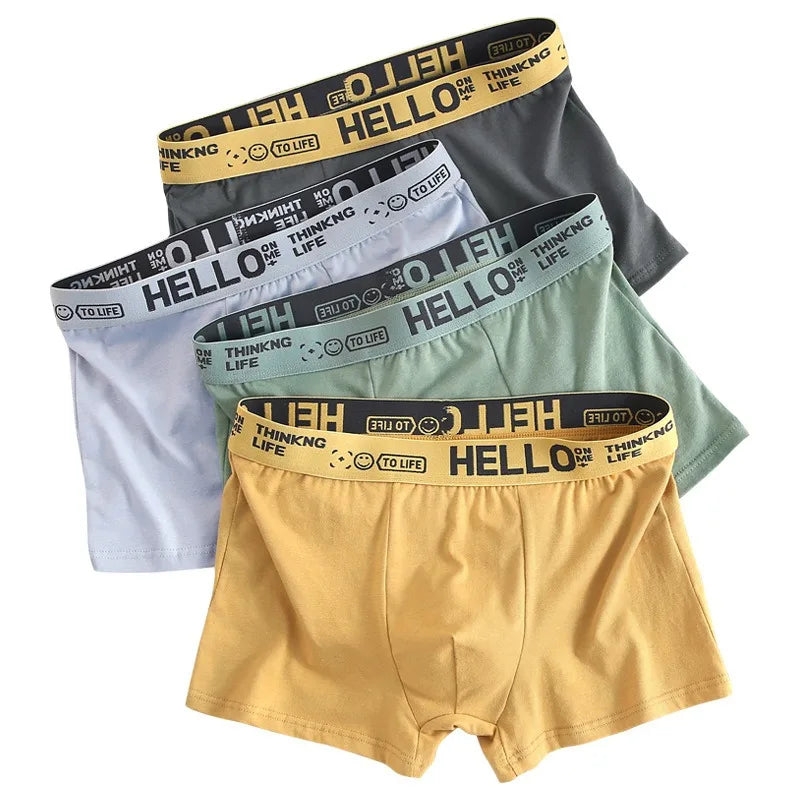 6 pièces hommes sous-vêtements hommes coton caleçons hommes purs hommes culottes Shorts respirant Boxer Shorts confortable doux grande taille