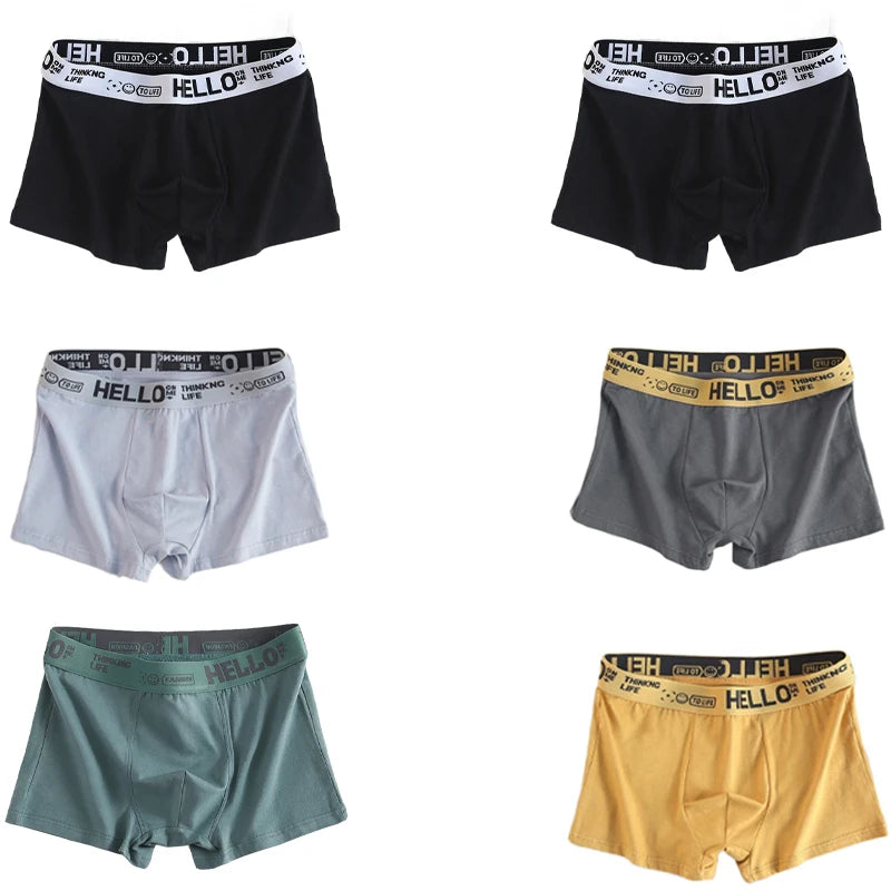 6 pièces hommes sous-vêtements hommes coton caleçons hommes purs hommes culottes Shorts respirant Boxer Shorts confortable doux grande taille