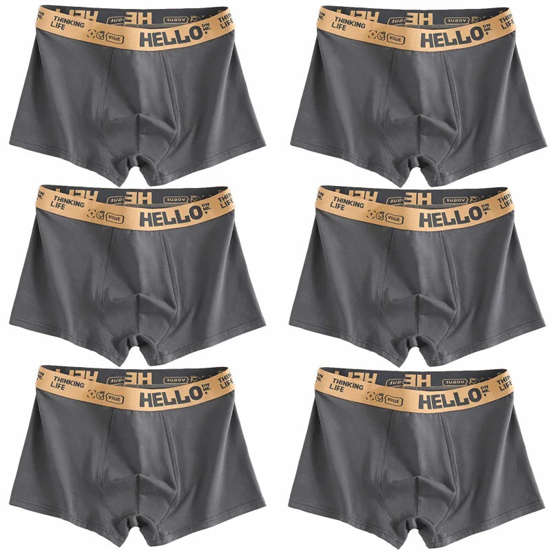 6 pièces hommes sous-vêtements hommes coton caleçons hommes purs hommes culottes Shorts respirant Boxer Shorts confortable doux grande taille